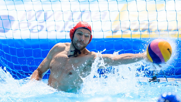 Branislav Mitrović