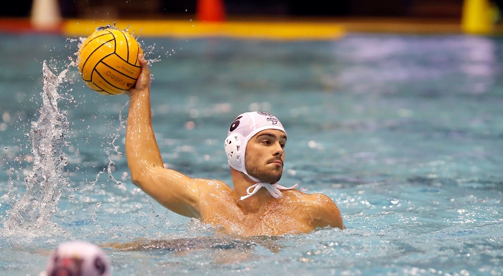 Mihajlo Andrin, Vaterpolo klub Partizan