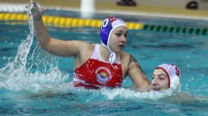 Jelena Vuković, ŽVK Vojvodina