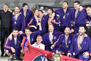 Jug šampion Regionalne lige