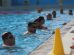Srbija trening SP Segedin