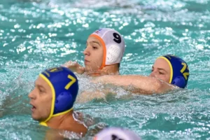 Bogdan Gavrilovic Radnicki